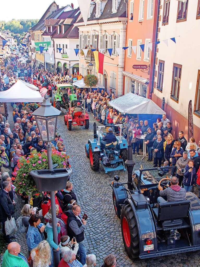 Impressionen vom dritten "Alemannischen Brotmarkt" mit groem Festumzug am Wochenende in Endingen.