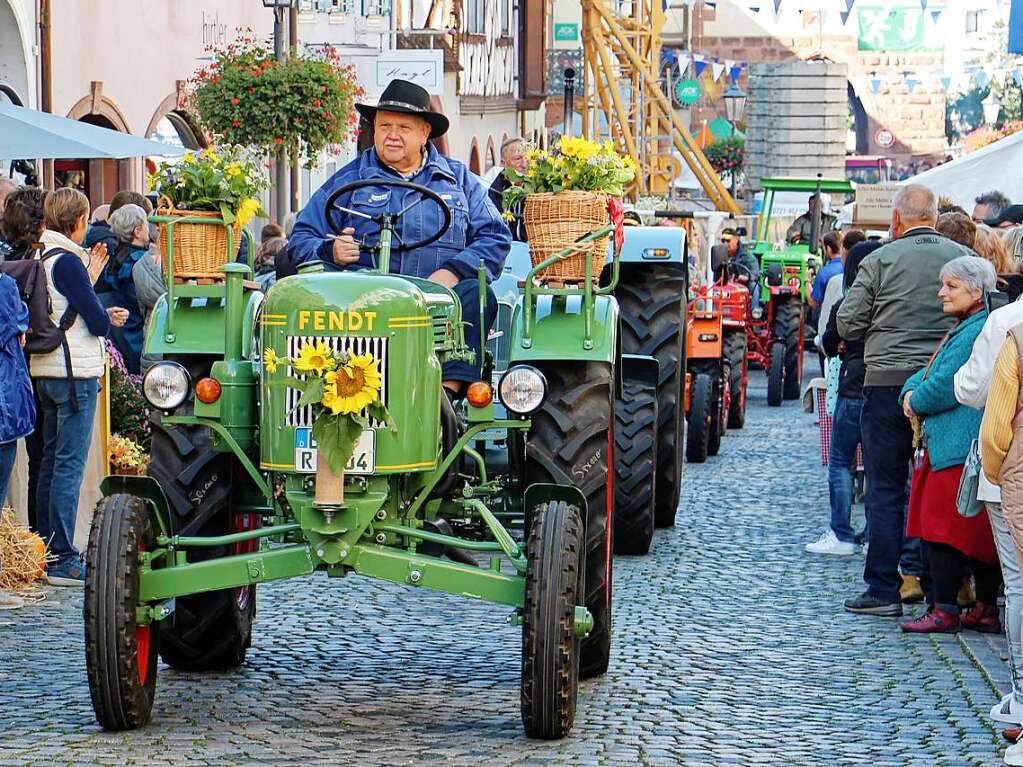 Impressionen vom dritten "Alemannischen Brotmarkt" mit groem Festumzug am Wochenende in Endingen.