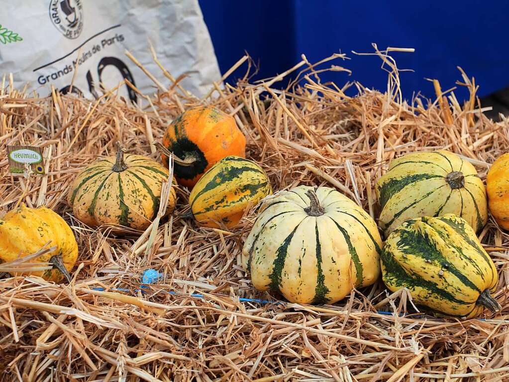 Impressionen vom dritten "Alemannischen Brotmarkt" mit groem Festumzug am Wochenende in Endingen.