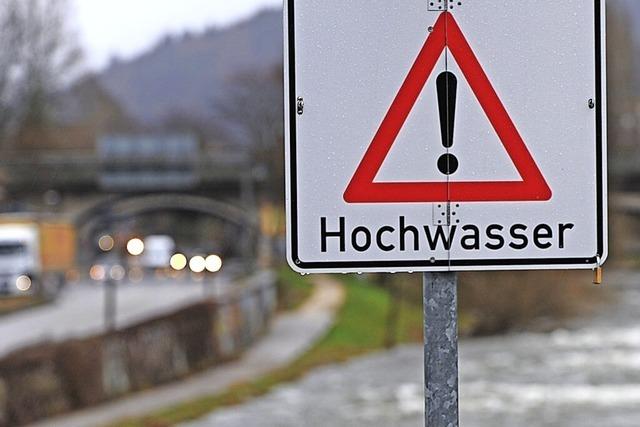 Gemeinde Grenzach-Wyhlen stellt Hochwasserschutzmaßnahmen vor
