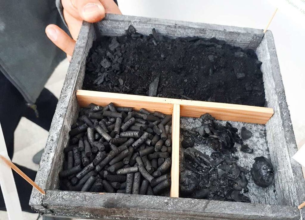Verschiedene Darreichungsformen der Pflanzenkohle  | Foto: Barbara Puppe