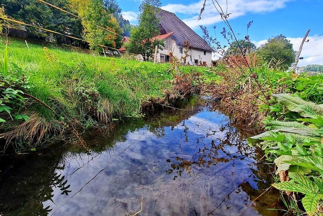 Etwa zehn Forellen fangen die Mitglied...ns Lffingen jedes Jahr im Trnkebach.  | Foto: Philippe Thines