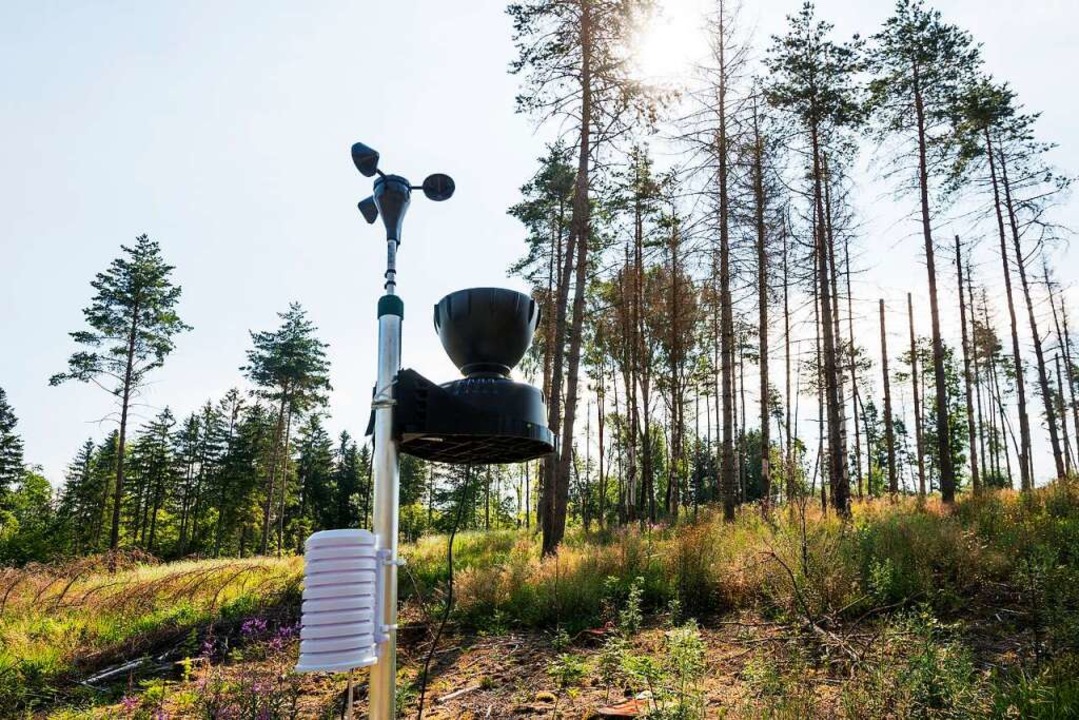 Eine Messstation auf der Versuchsfläche im Gemeindewald Weilheim.  | Foto: Daniel Schoenen
