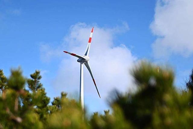 Bürgergruppen wollen Windkraft-Ausbau im Elztal