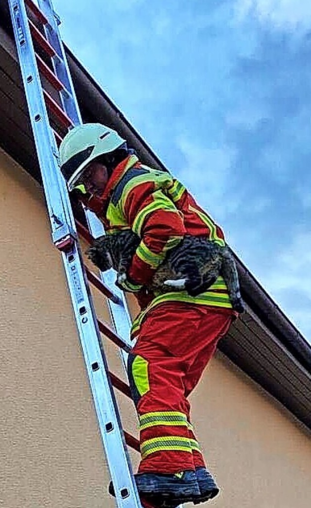   | Foto: Freiwillige Feuerwehr Bad Sckingen
