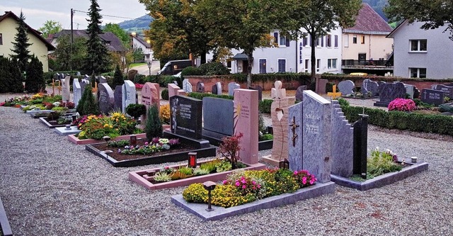 Die fnf Lindenbume an der Friedhofsm...tfernt und durch neue ersetzt werden.   | Foto: Beate Zehnle-Lehmann