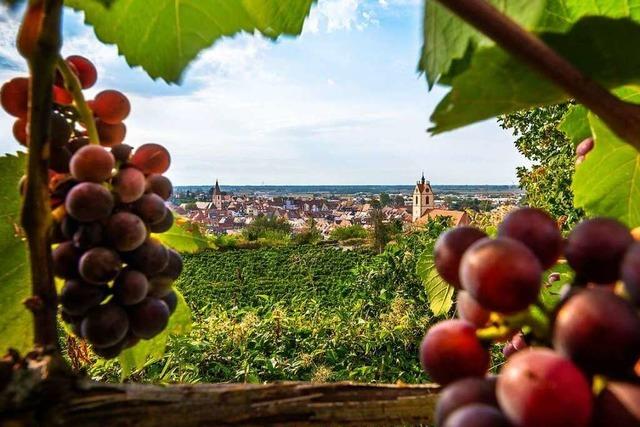 Fotos: Die schnsten Leserfotos vom Kreis Emmendingen im August und September