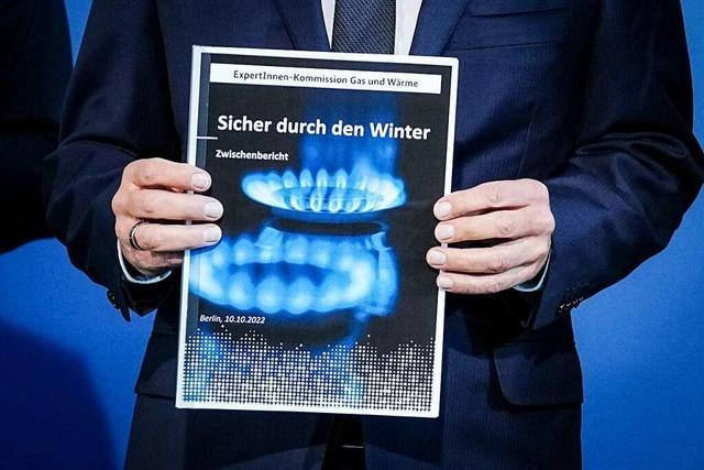 Das sagen die Bundestagsabgeordneten aus dem Wahlkreis Emmendingen-Lahr zur Gaspreisbremse