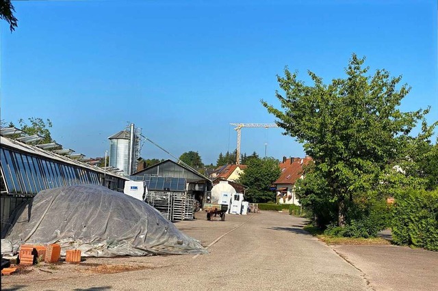 Das Areal der Grtnerei Kpfer in Holzhausen an der Wiesenstrae  | Foto: Claudia Bachmann-Goronzy