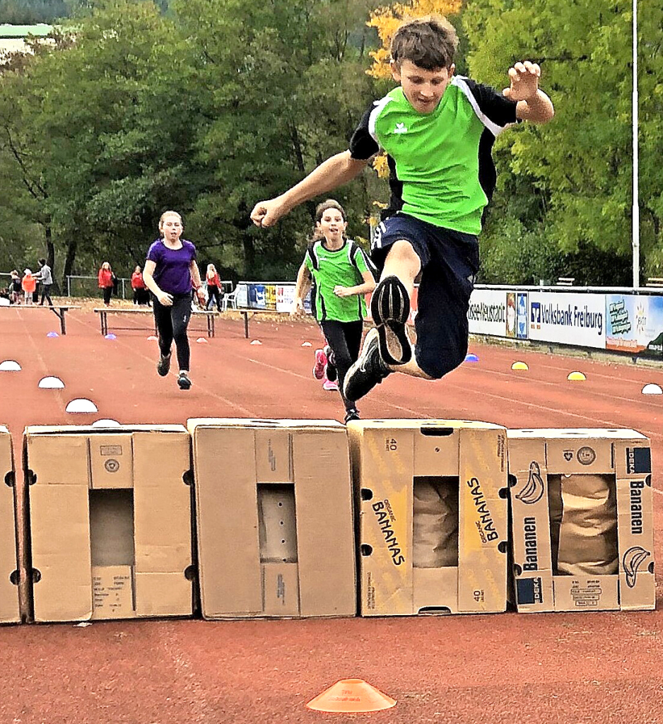 Elephant at the Jahnstadion – athletics