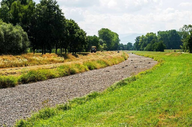 Wenn die Dreisam trocken liegt, leiden...ndwasserneubildung findet nicht statt.  | Foto: Daniel Schoenen