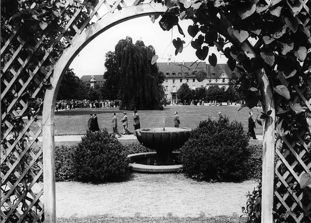 Der Stadtgarten mit Buche im Jahr 1952  | Foto: Stadtarchiv Freiburg