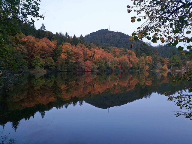 Der Sckinger Bergsee im Herbst.  | Foto: Toni Bdel