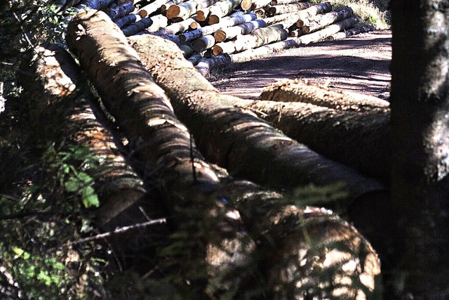 Wer heute sein  Brennholz mit Genehmig...chst rund zwei Jahre trocknen lassen.  | Foto: Patrik Mller