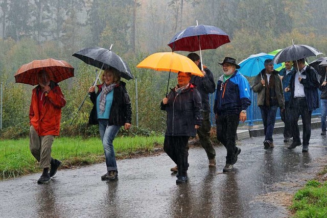 Triefend vor Nsse und trotzdem guter ...Zustand des Laufenburger Stadtwaldes.   | Foto: Hans-Jrgen Sackmann