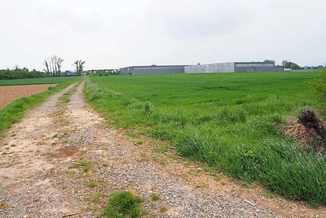 Befindet sich auf dem Gelnde des Gewerbepark Nord in Herbolzheim eine historische Siedlung?