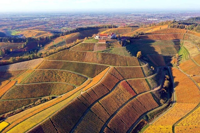 Auf verschlungenen Pfaden geht&#8217;s...Finale hinauf zum Schloss Staufenberg.  | Foto: Peter Heck