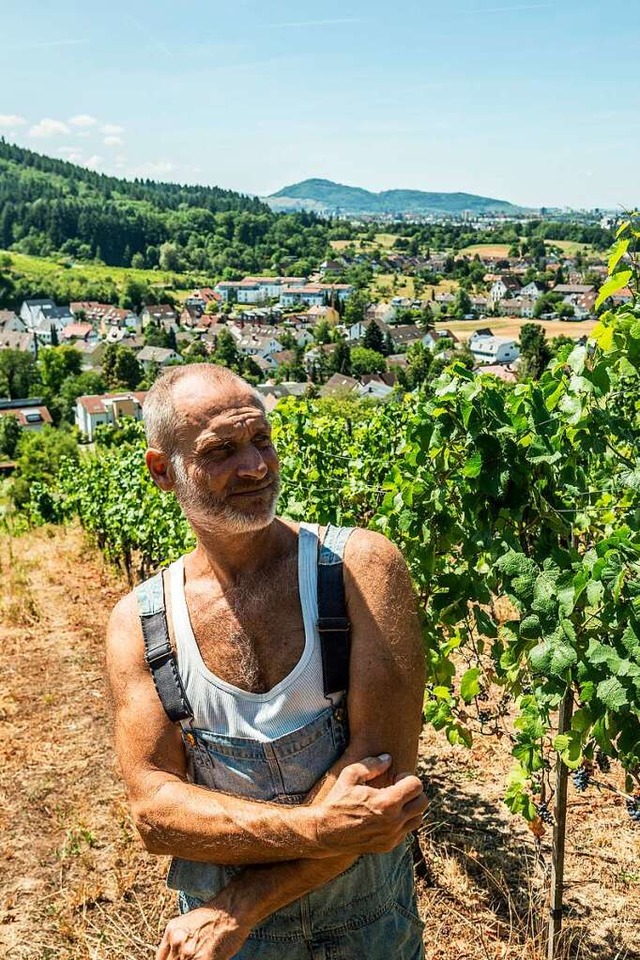 Wegen der Drre macht sich der Winzer ...eser groe Sorgen um seine Weinstcke.  | Foto: Daniel Schoenen