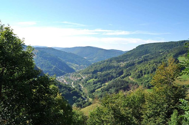 Blick auf die Stadt Todtnau, die es im...dkreis unter die Top 10 geschafft hat.  | Foto: Sarah Trinler