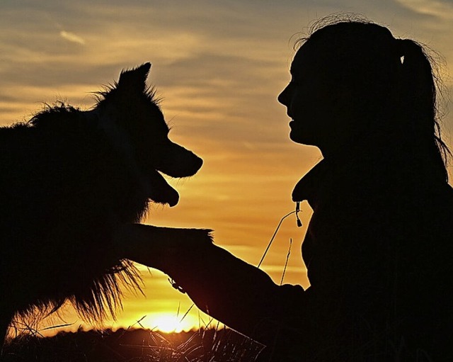Mensch und Haustier  | Foto: Patrick Pleul (dpa)