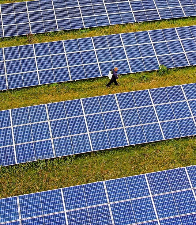 Eine Photovoltaikanlage knnte nun in Raitbach entstehen.  | Foto: Ben Birchall (dpa)