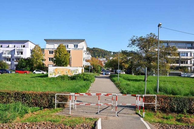 Diese Wiesen an der Ecke Konrad-Adenau...bergang zum Zoll sollen bebaut werden.  | Foto: Daniel Gramespacher