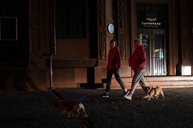 Saporischschja: Zwei Passanten gehen mit ihren Hunden eine Strae entlang.  | Foto: Leo Correa (dpa)