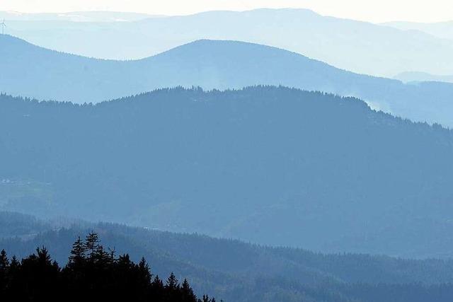 Der Schwarzwald – mehr als Wald und Bäume