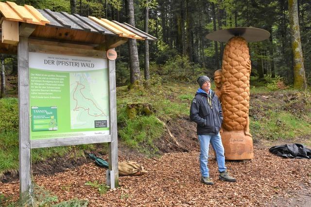 Weitannenlehrpfad Pfisterwald