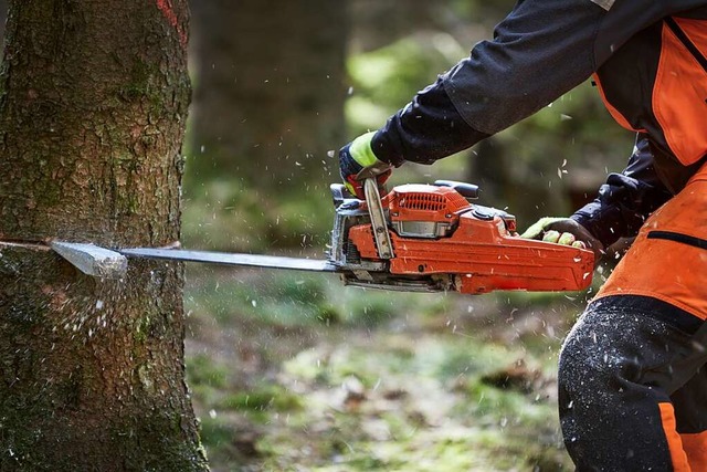 Wie oft die Sge im Wald zum Einsatz k... bleibt in Mllheim ein heikles Thema.  | Foto: Karin & Uwe Annas / stock.adobe.com