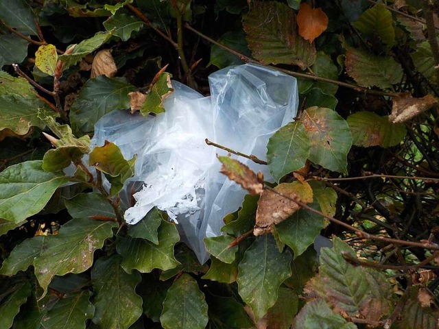 Plastikmll mitten im Wald  | Foto: Privat