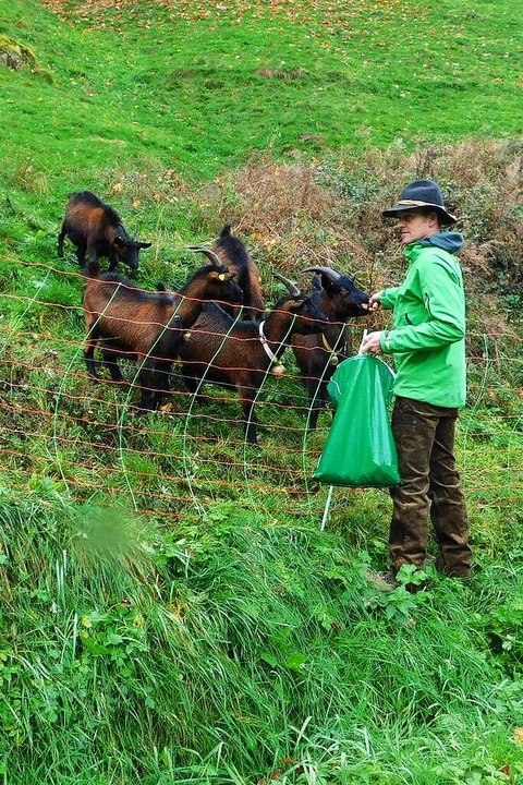 Landwirt Stephan Wiesler am Schutzzaun fr seine Ziegen  | Foto: Andrea Drescher