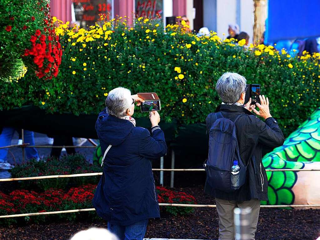 Die Chrysanthema in Lahr am ersten Wochenende