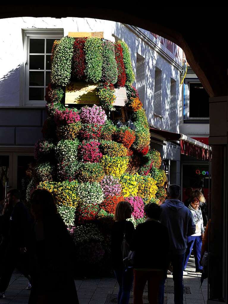 Die Chrysanthema in Lahr am ersten Wochenende