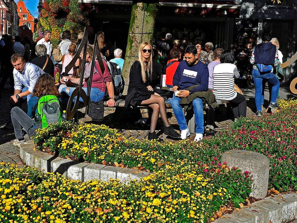 Die Chrysanthema in Lahr am ersten Wochenende