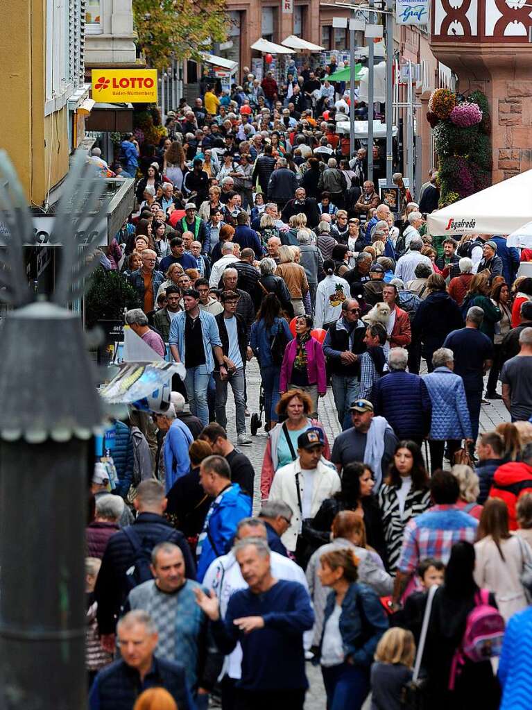 Die Chrysanthema in Lahr am ersten Wochenende