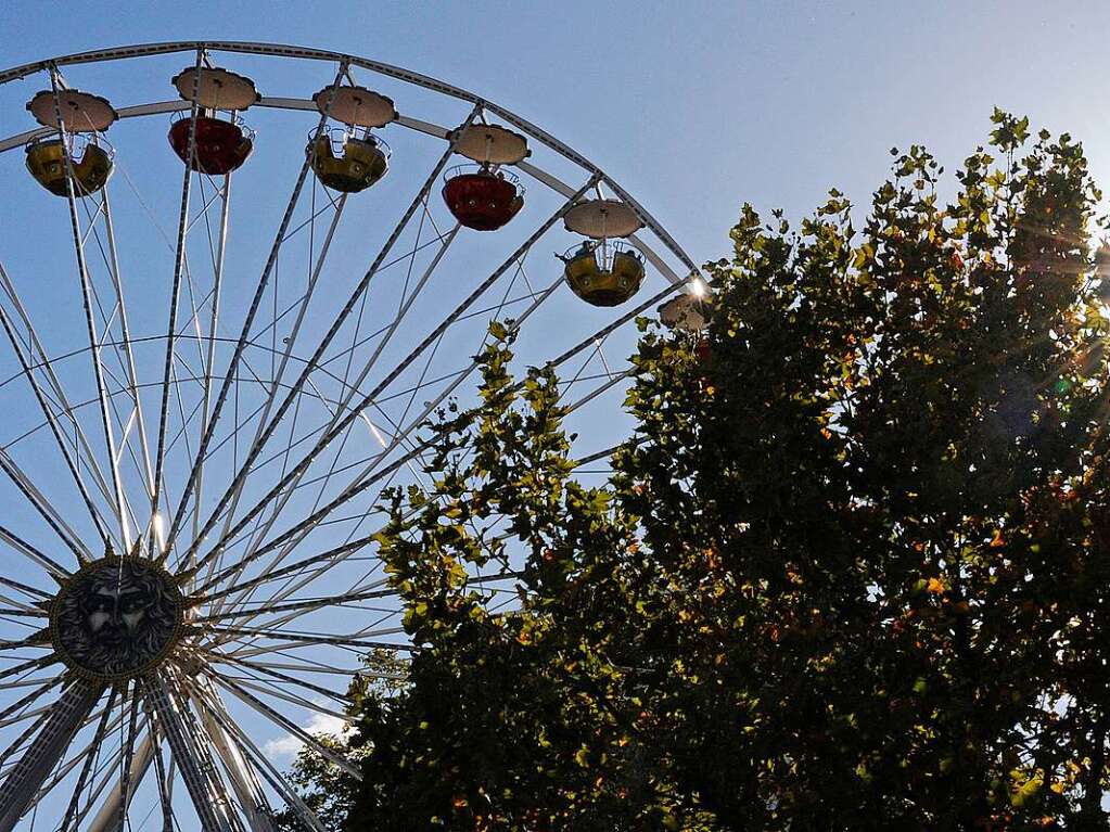 Die Chrysanthema in Lahr am ersten Wochenende