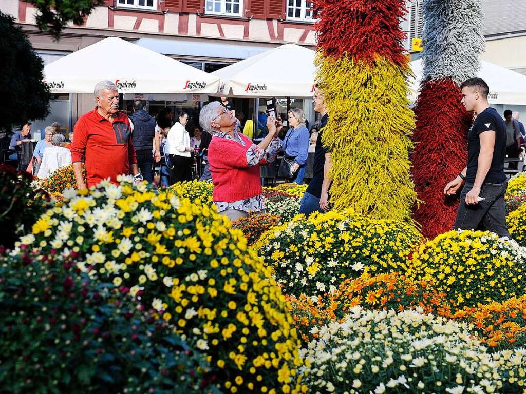 Die Chrysanthema in Lahr am ersten Wochenende