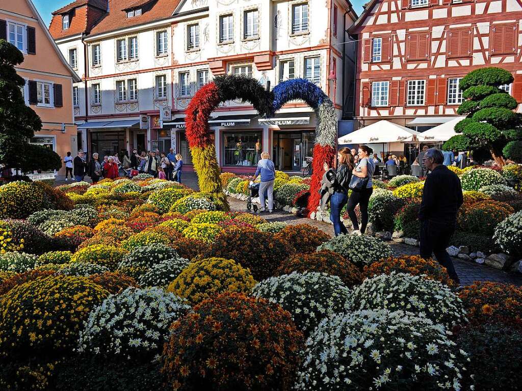 Die Chrysanthema in Lahr am ersten Wochenende