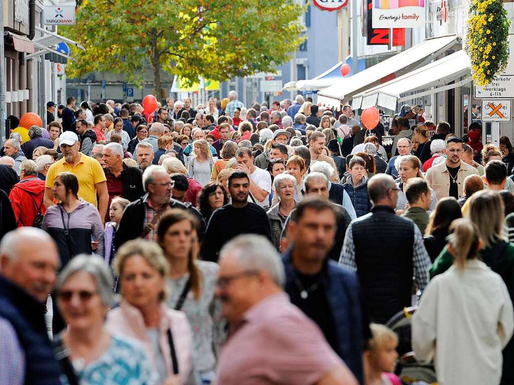 Die Chrysanthema in Lahr am ersten Wochenende