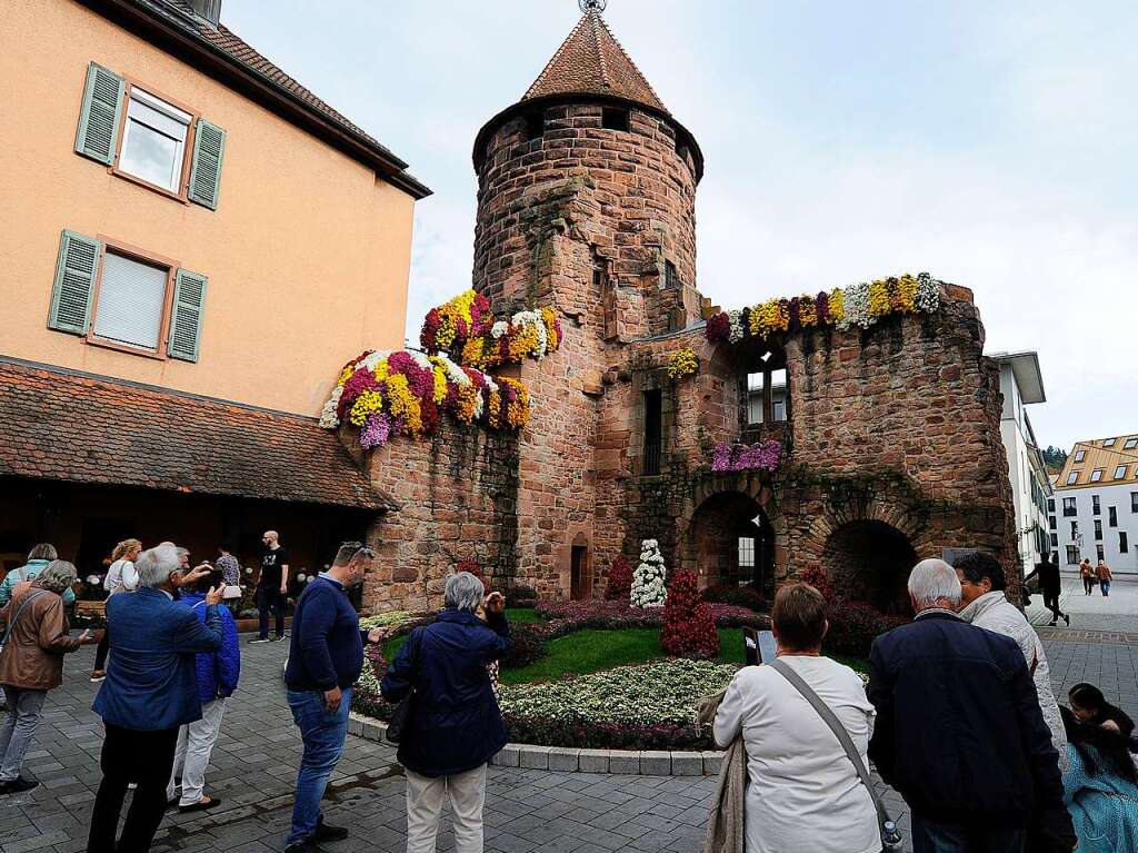 Die Chrysanthema in Lahr am ersten Wochenende