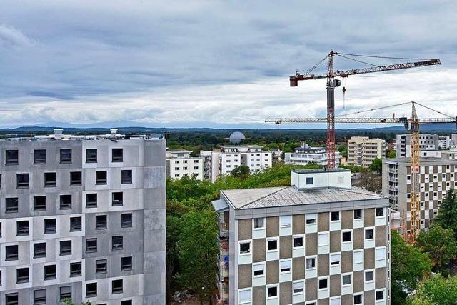 Die dsteren Prognosen fr den Freiburger Wohnungsmarkt haben sich bewahrheitet