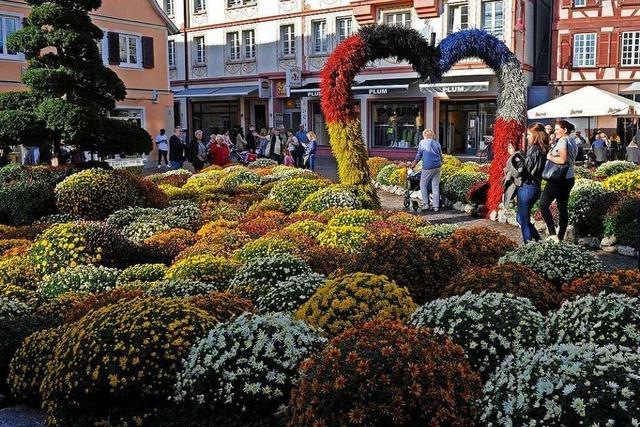 Fotos: Das erste Wochenende der Chrysanthema 2022 in Lahr