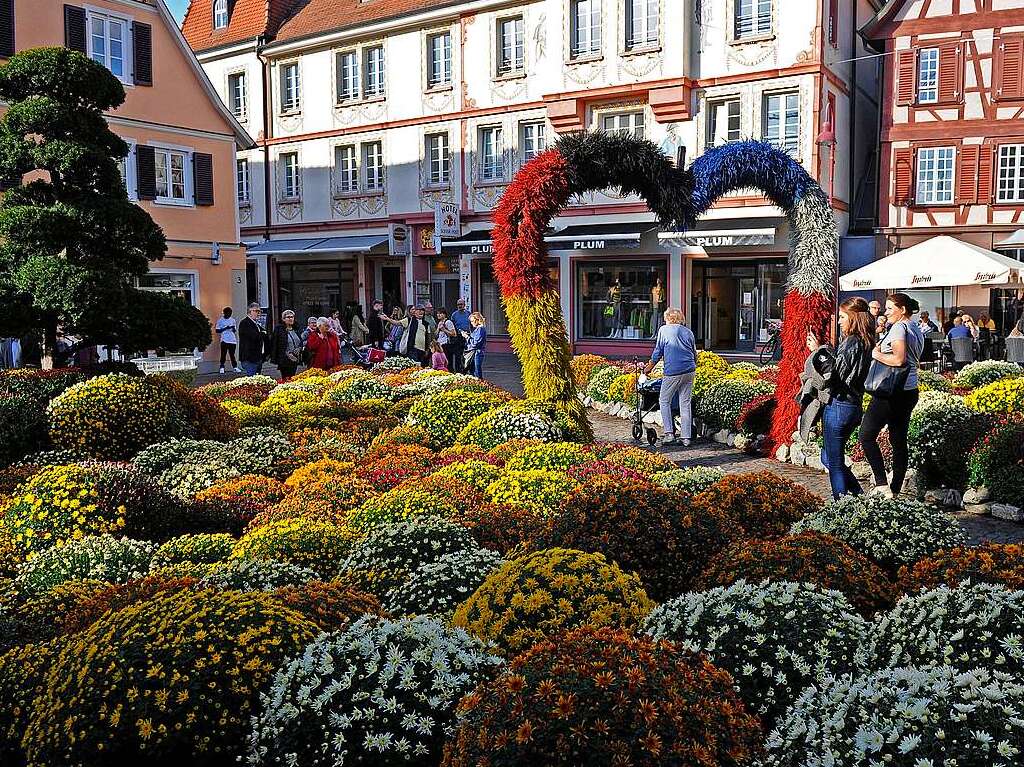 Die Chrysanthema in Lahr am ersten Wochenende