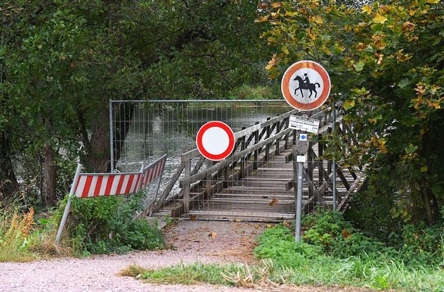 Wie geht es mit dem Elzsteg in Wittenw...Die bestehende Brcke ist irreparabel.  | Foto: Wolfgang Knstle