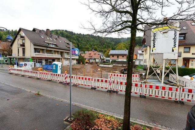 Wie die Stadt Freiburg versucht, einen Investor in Ebnet auszubremsen