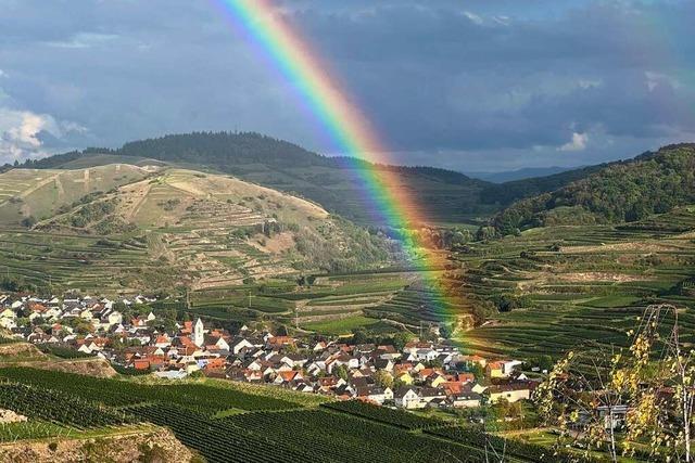 Regenbogen über Oberbergen am Kaiserstuhl