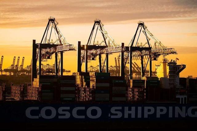 Der Umgang mit Chinas Plnen zum Hamburger Hafen ist blauugig
