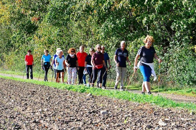 Die Nordic-Walking-Gruppe ist immer an...nterhalbjahr meist im und am Mooswald.  | Foto: Ingo Schneider