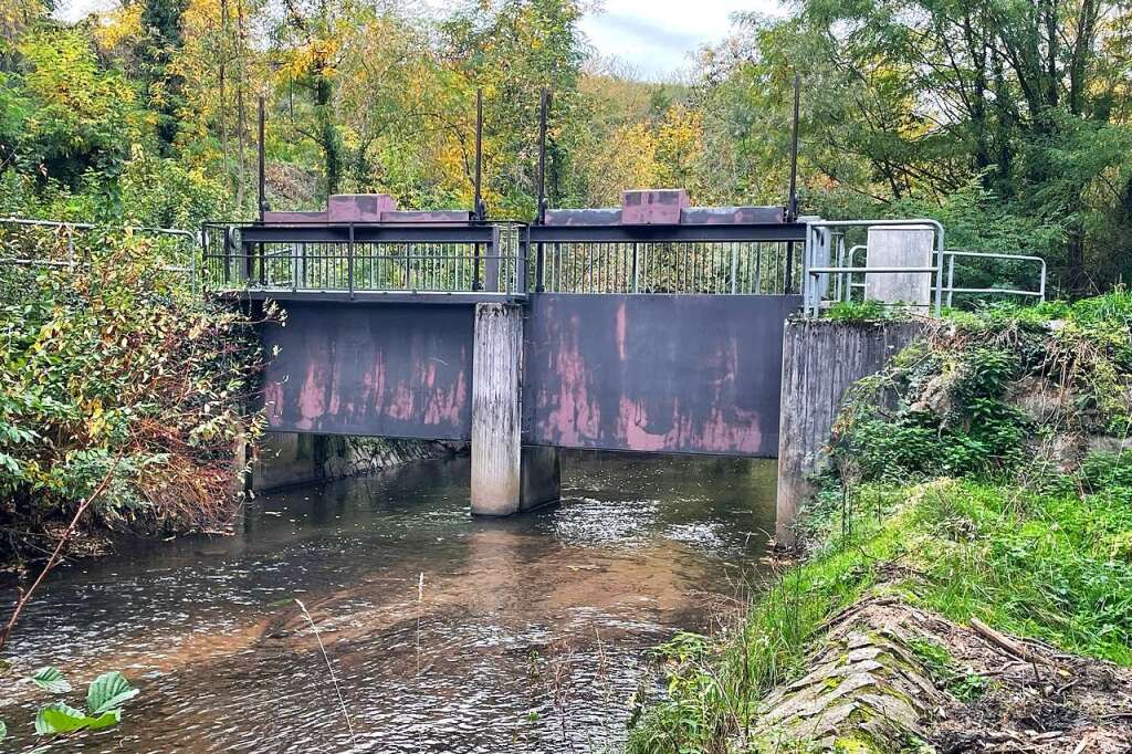 Gottenheim Will Grenzwerte Für Zufluss Von Hochwasser Prüfen ...